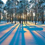 Golden Circle 4* Rovaniemi