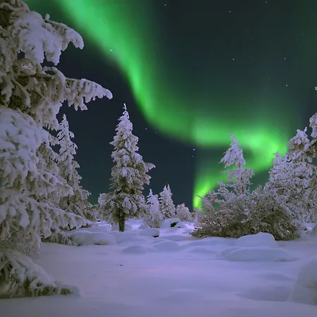 Golden Circle 호텔